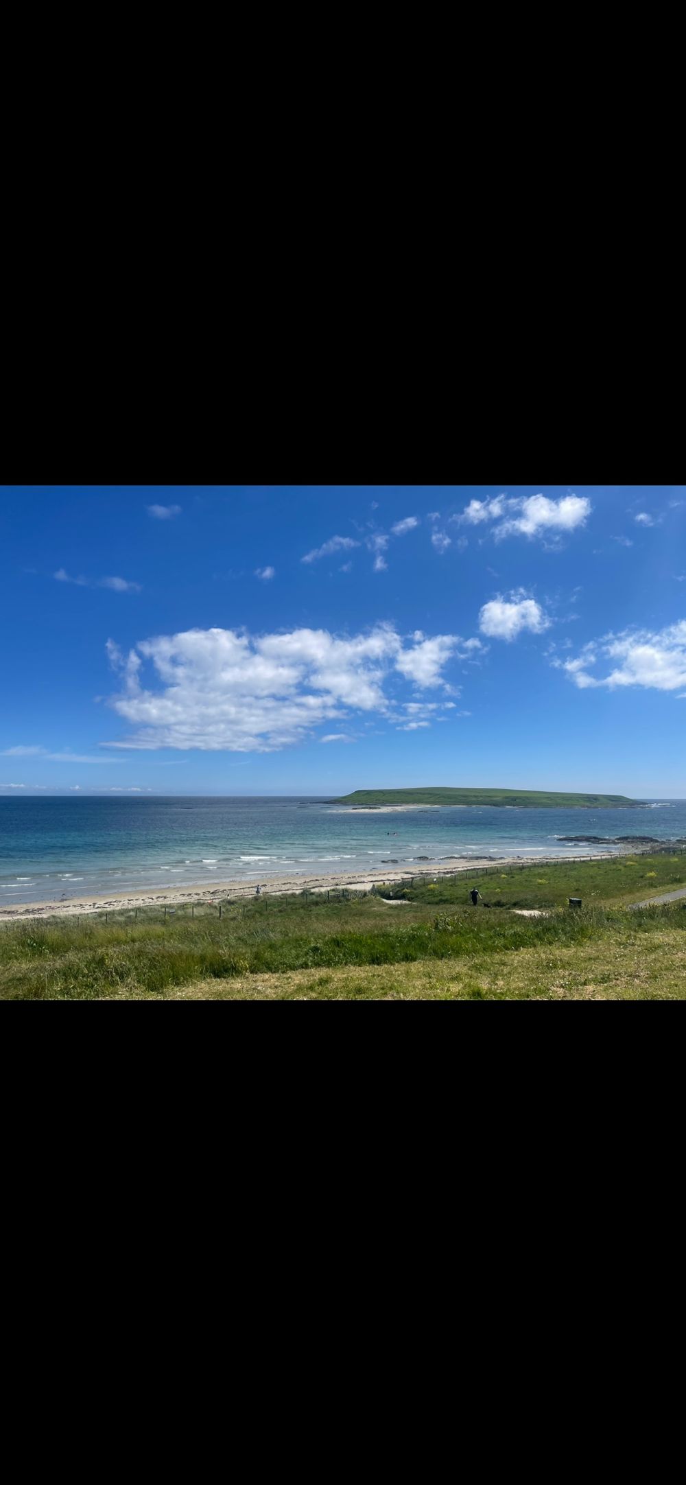 Ballyhornan Beech 