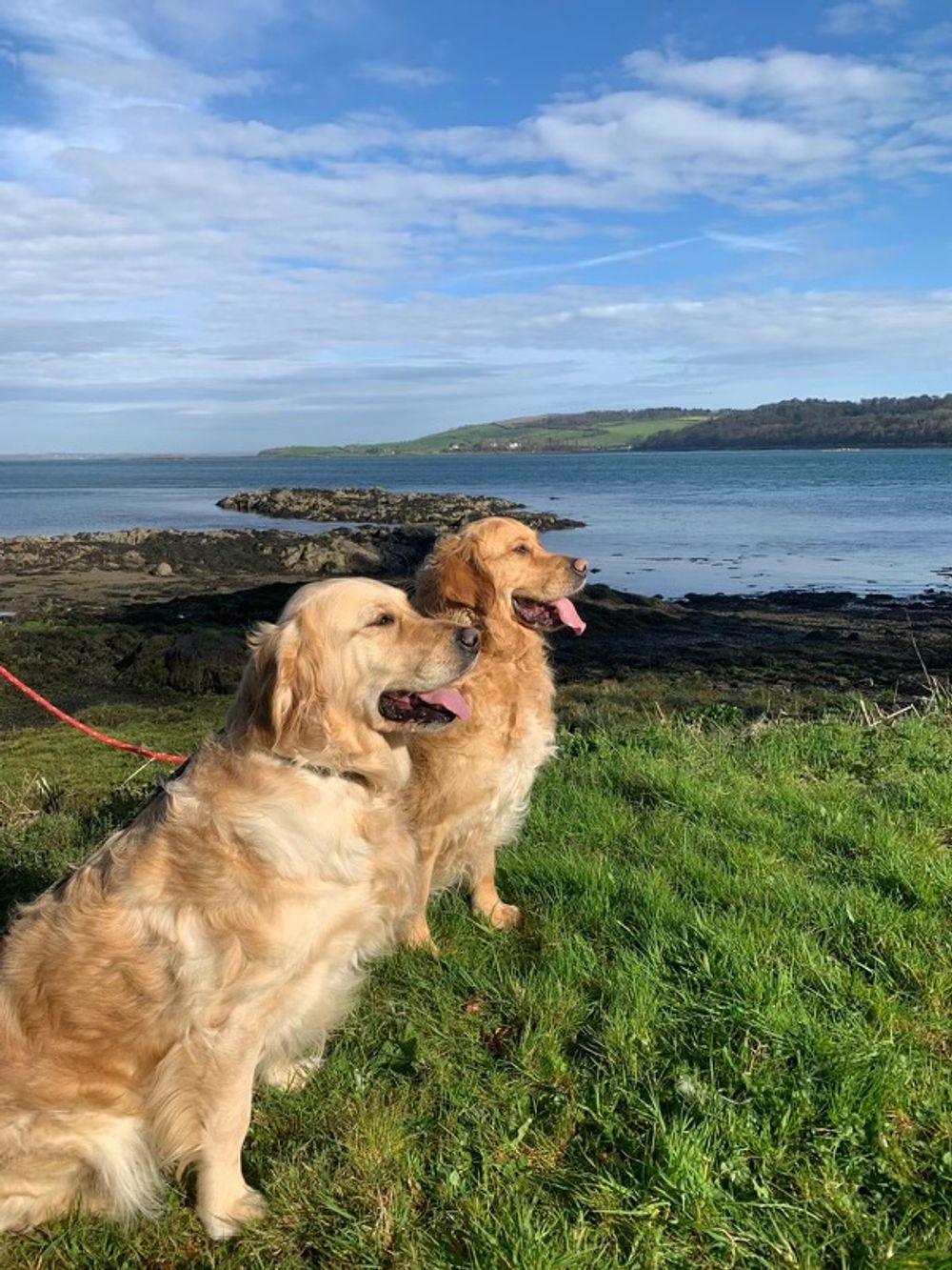 Strangford Lough 