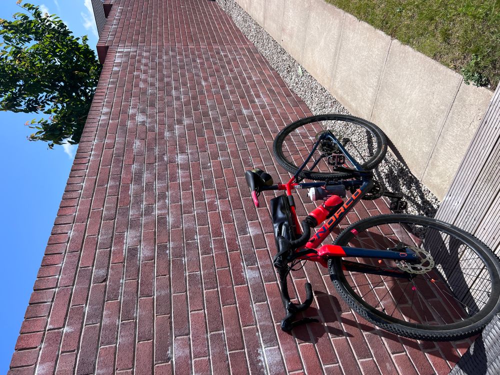 Cycle to the library