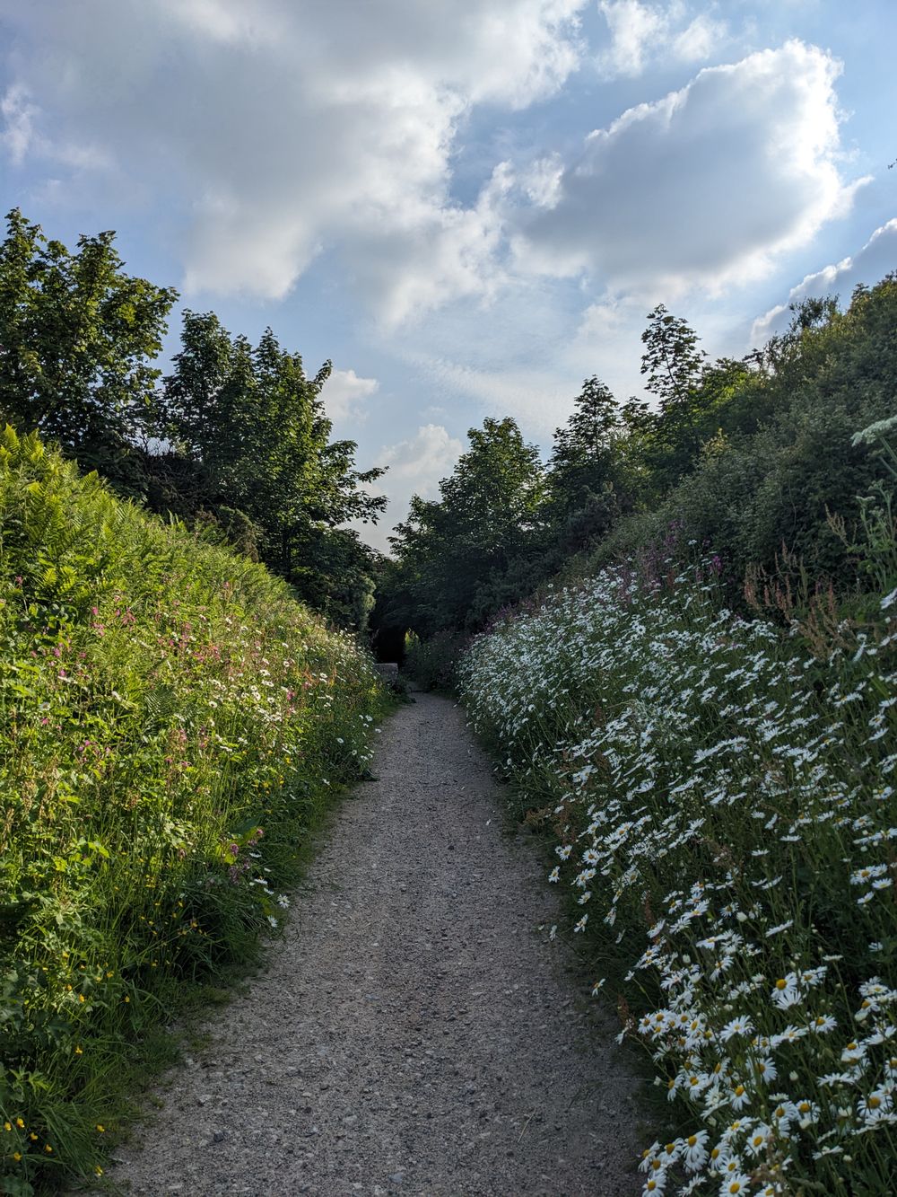 Great Flat Lode cycling