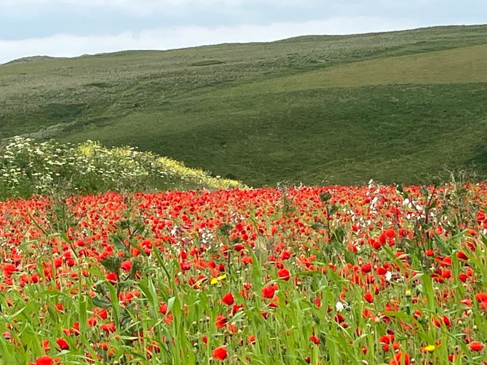 West Pentire