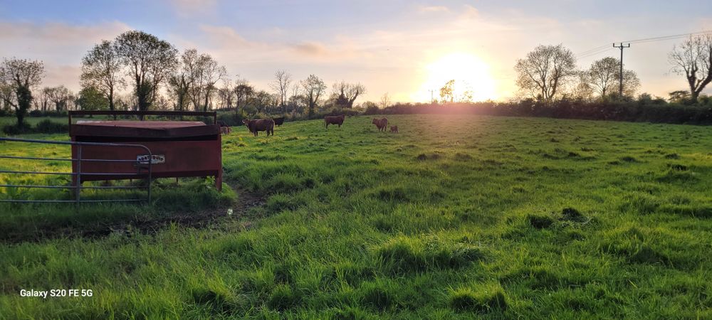 Evening walk to the shops 