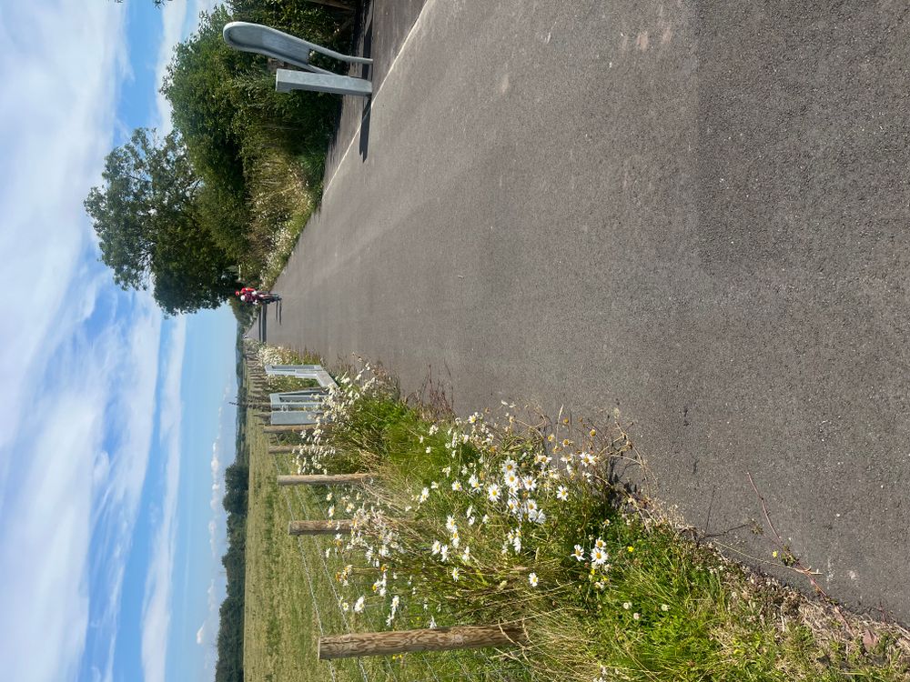 Pier to Pier cycleway