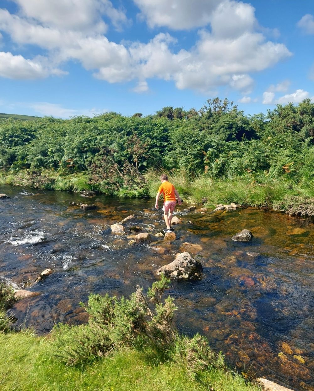 Dartmoor