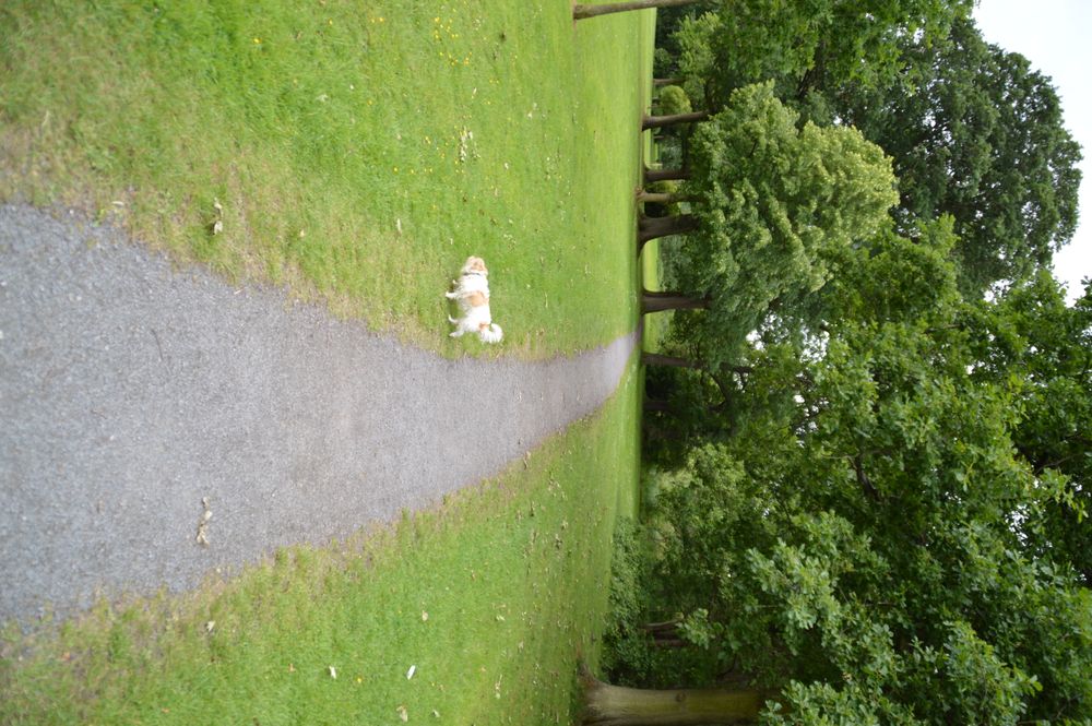 Sunday Walks