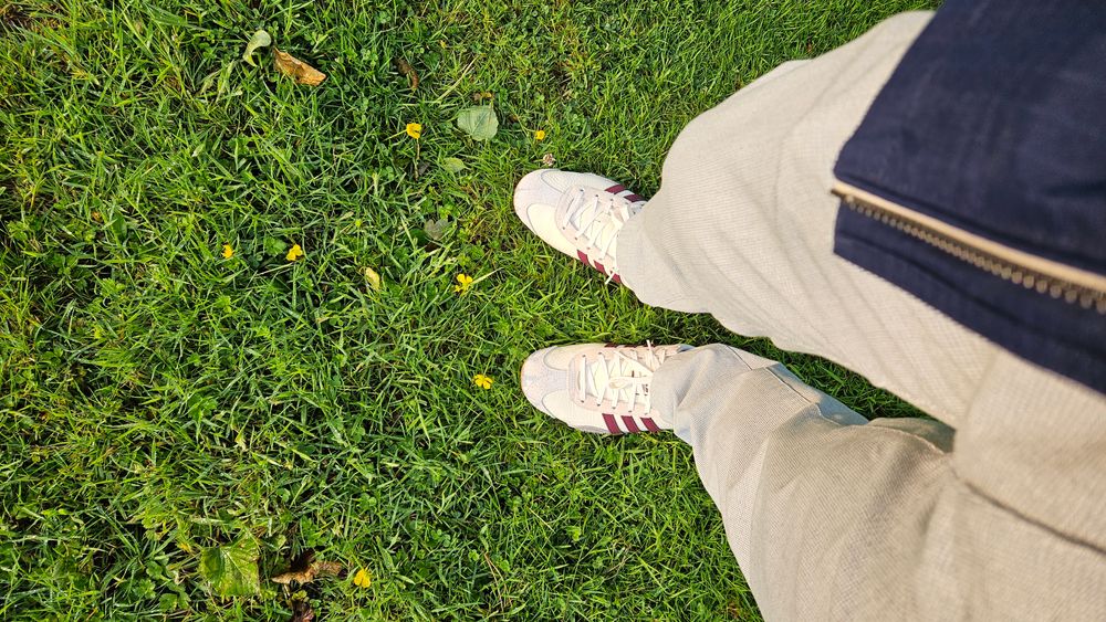 Beautiful morning walk to work. 