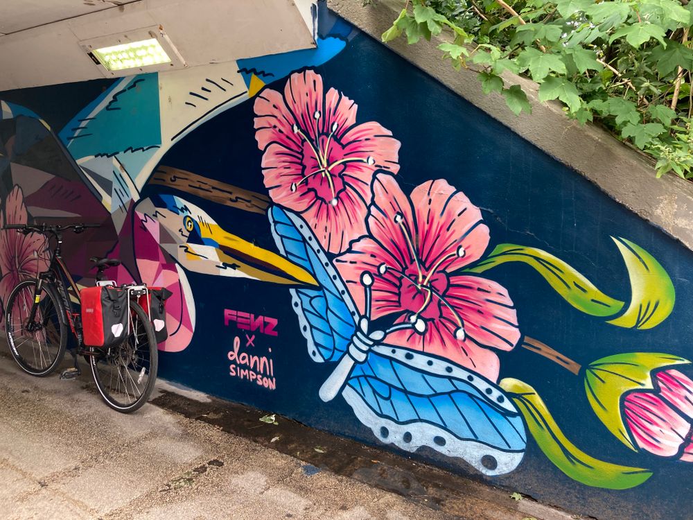 Cycling through the park