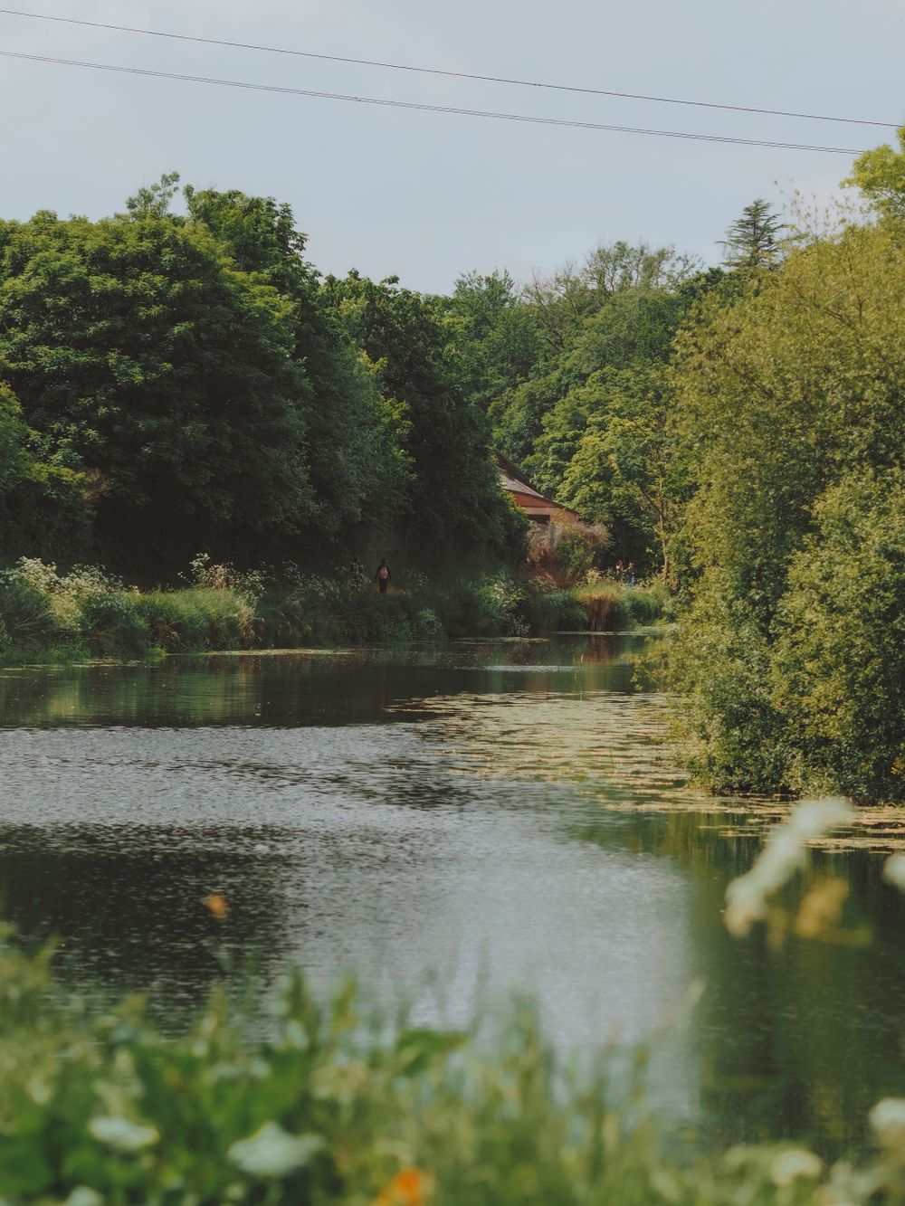 River Lagan