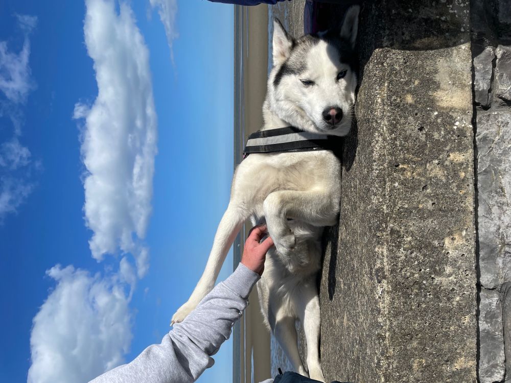 Kyra at Blackrock Beach