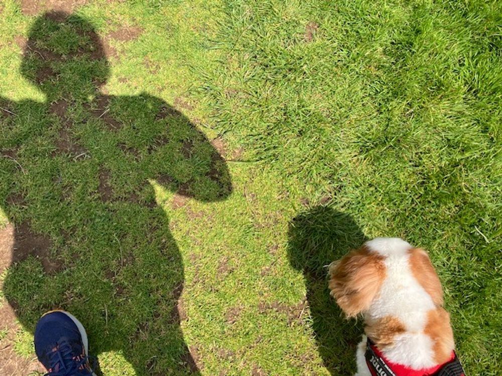 Active Travel: a walk in the park