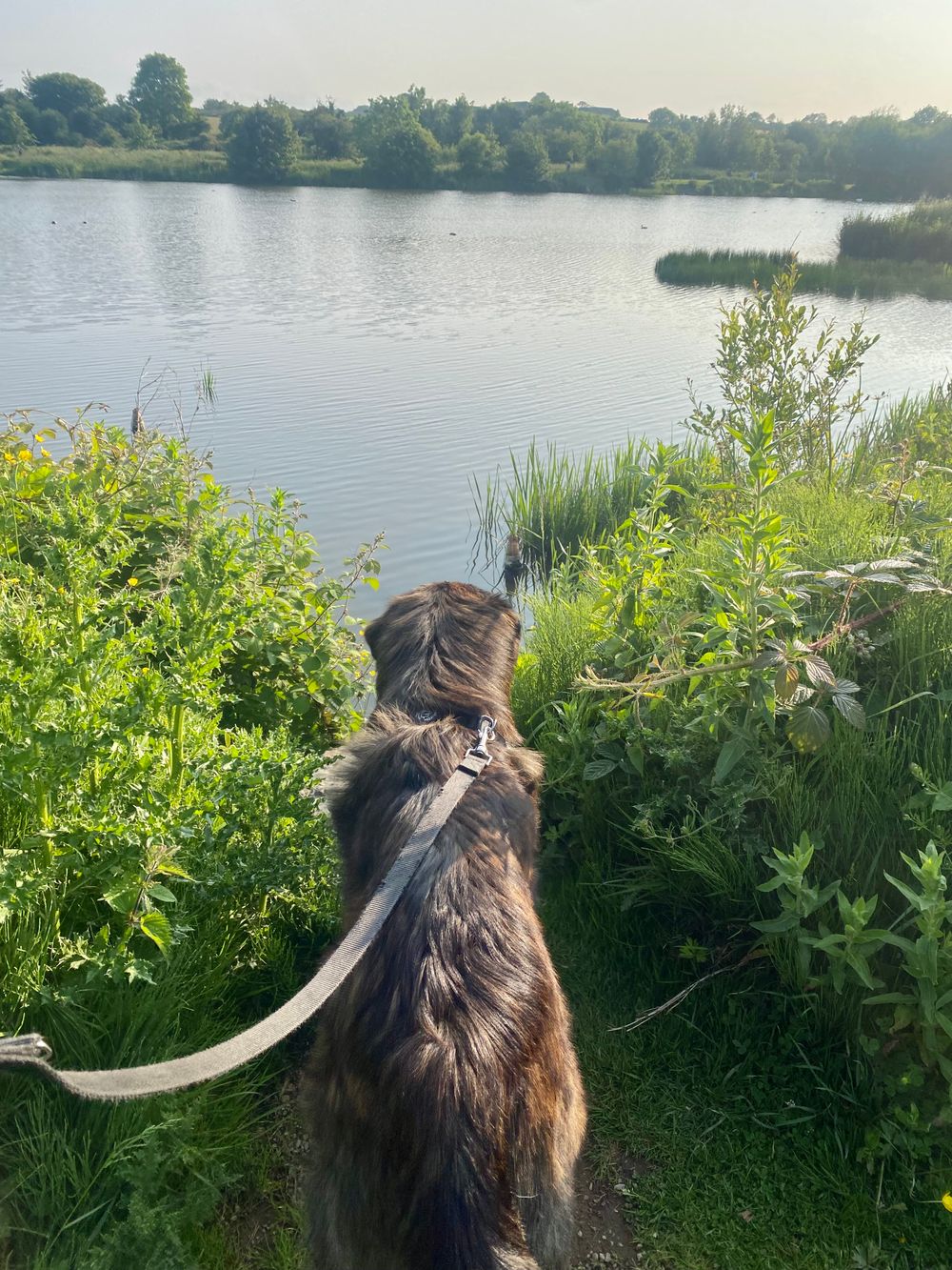 Evening Walk