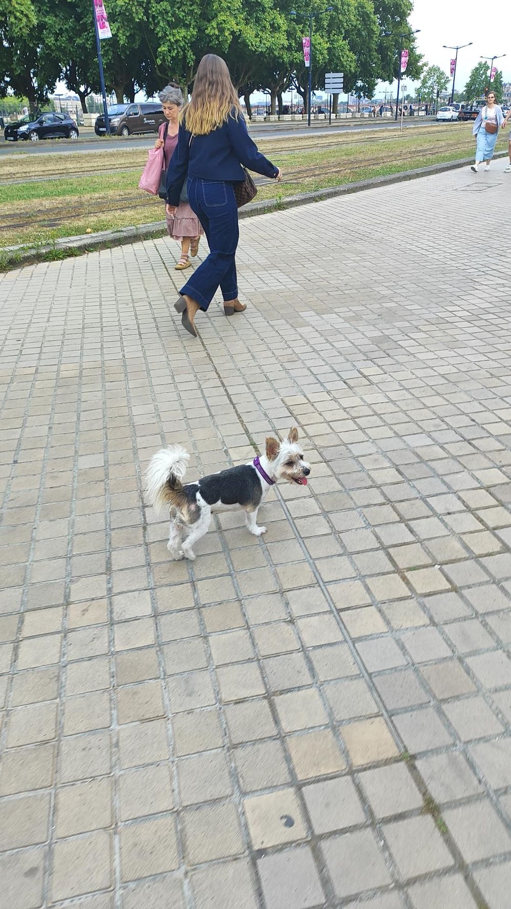 Missy in Bordeaux