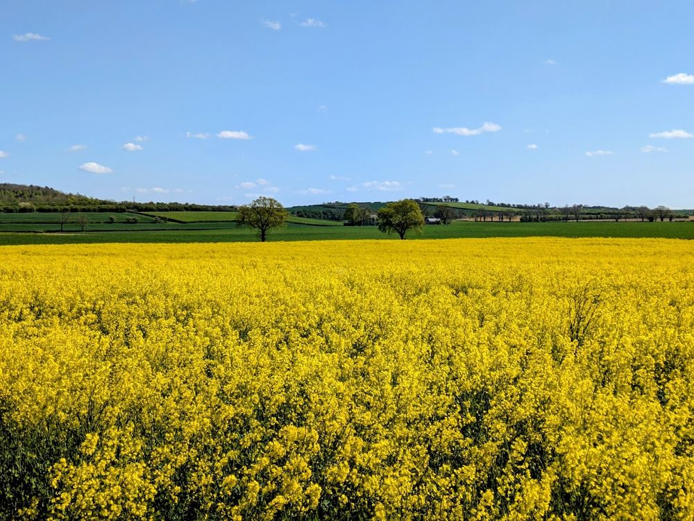 Spring Colours