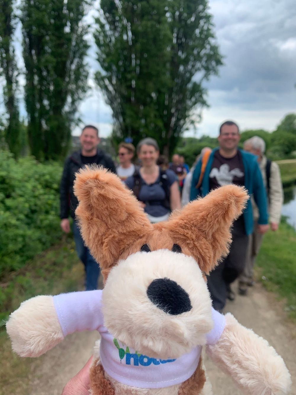 Walk the Dog