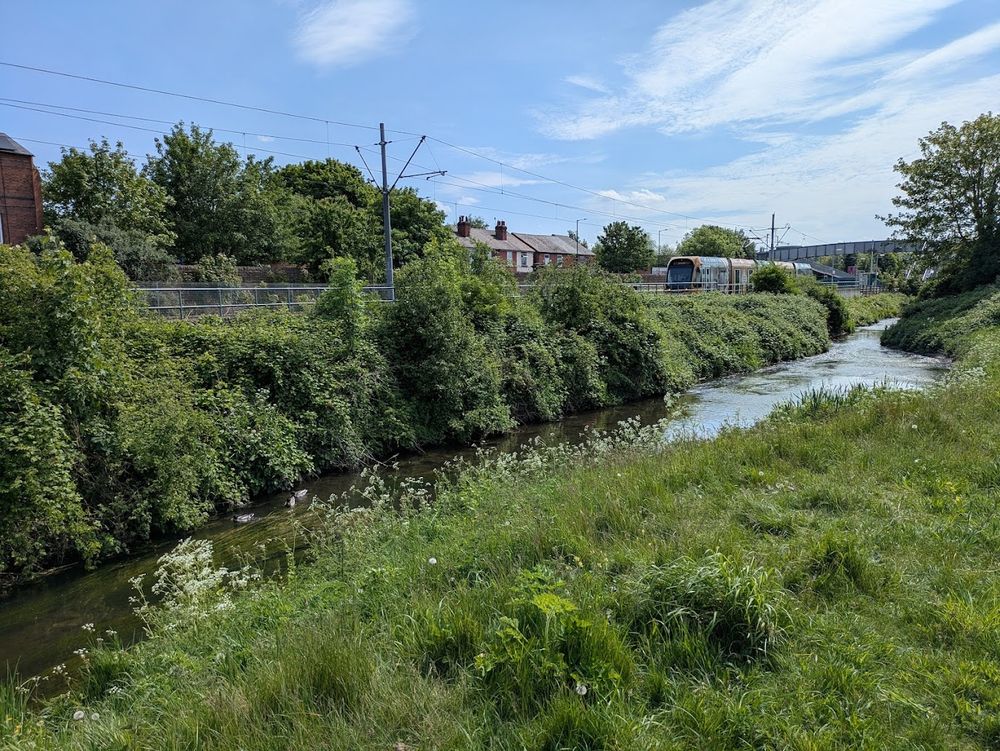 Transport on the Leen