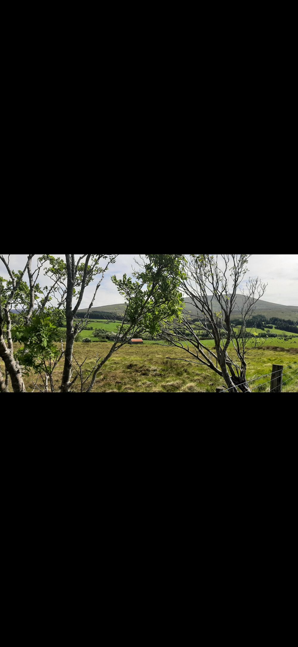 Walking in " The Sperrins "