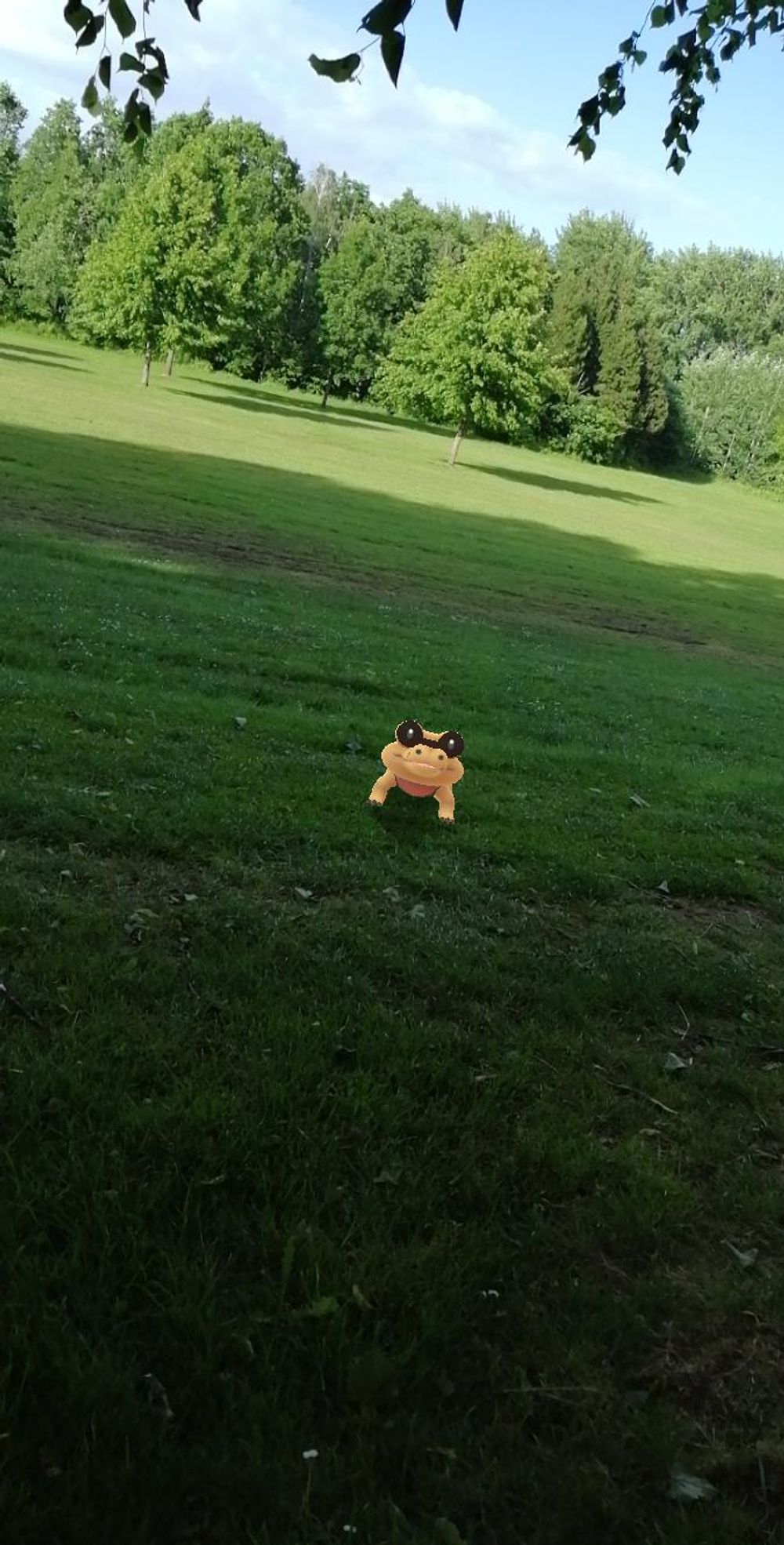 Pokémon Hunting 