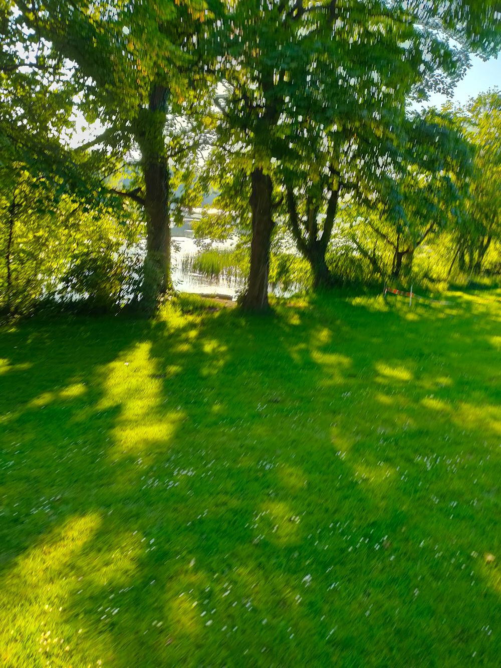 Lurgan Park
