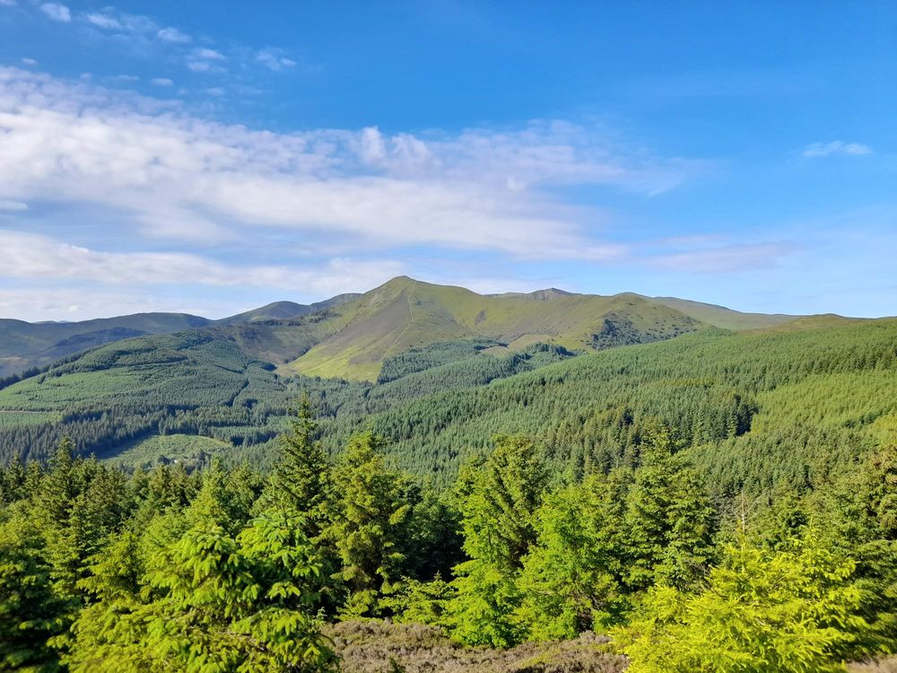 Whinlatter forest park