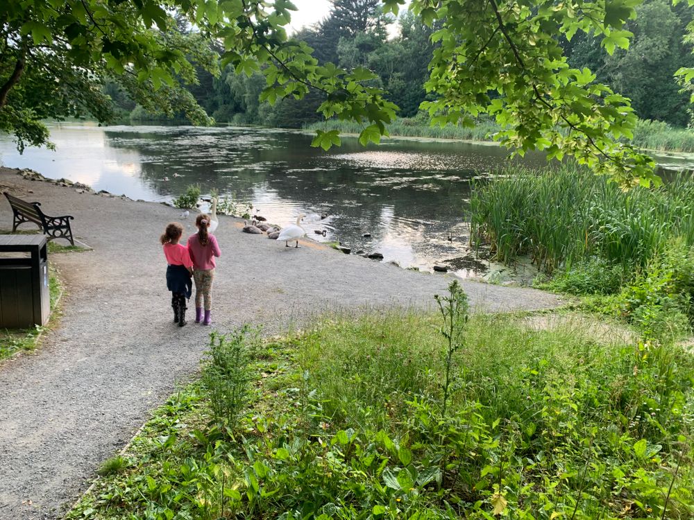 The duck pond 