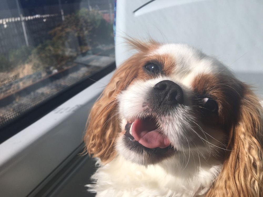 Train-spotting