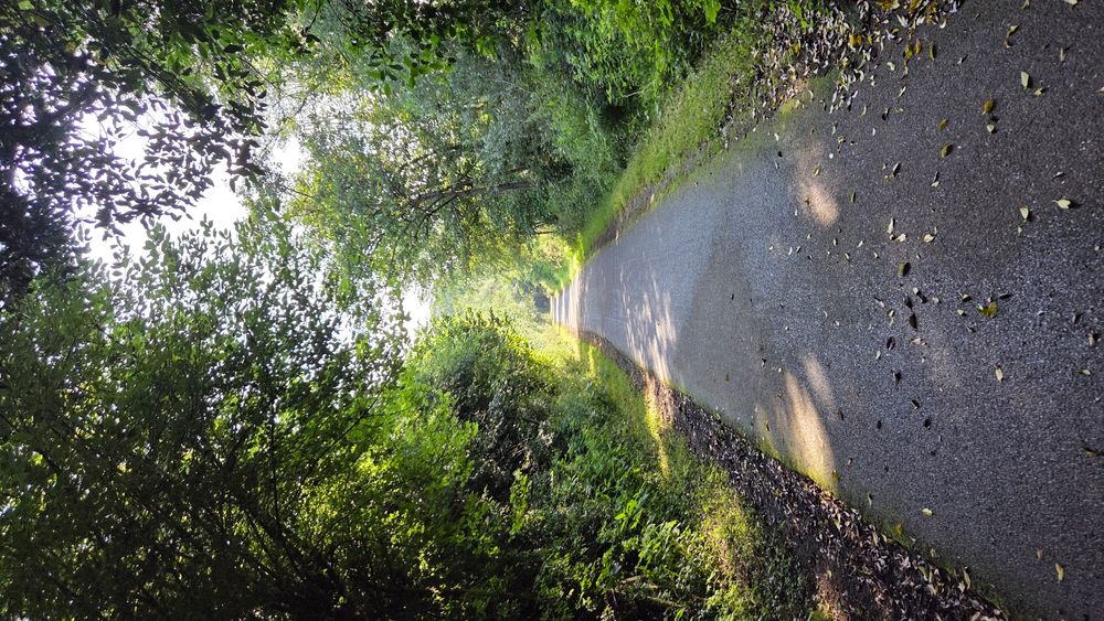 Lagan Towpath commute