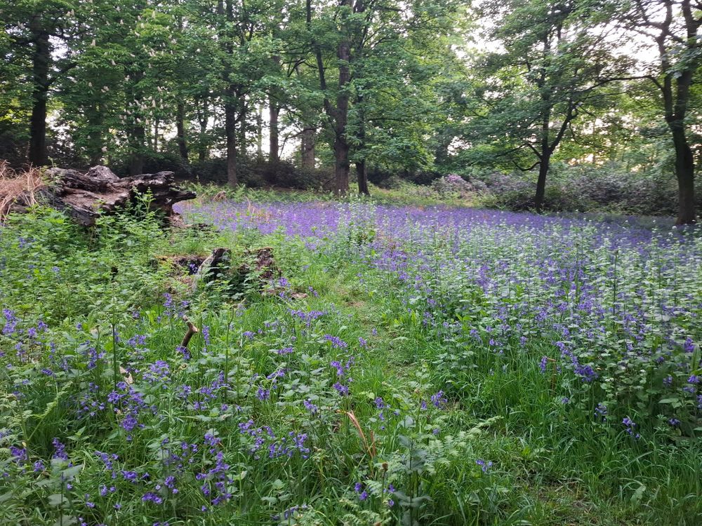 2nd May