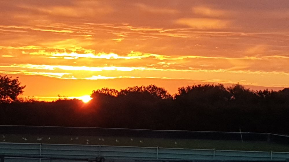 Sunrise