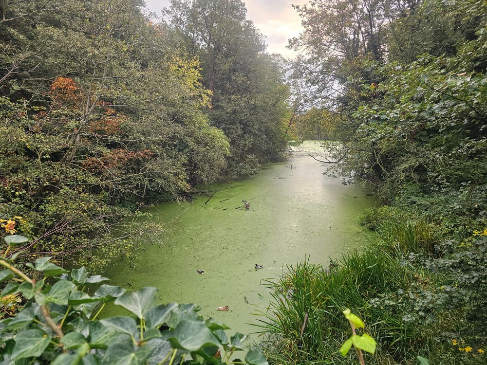 Nottingham hidden jewel