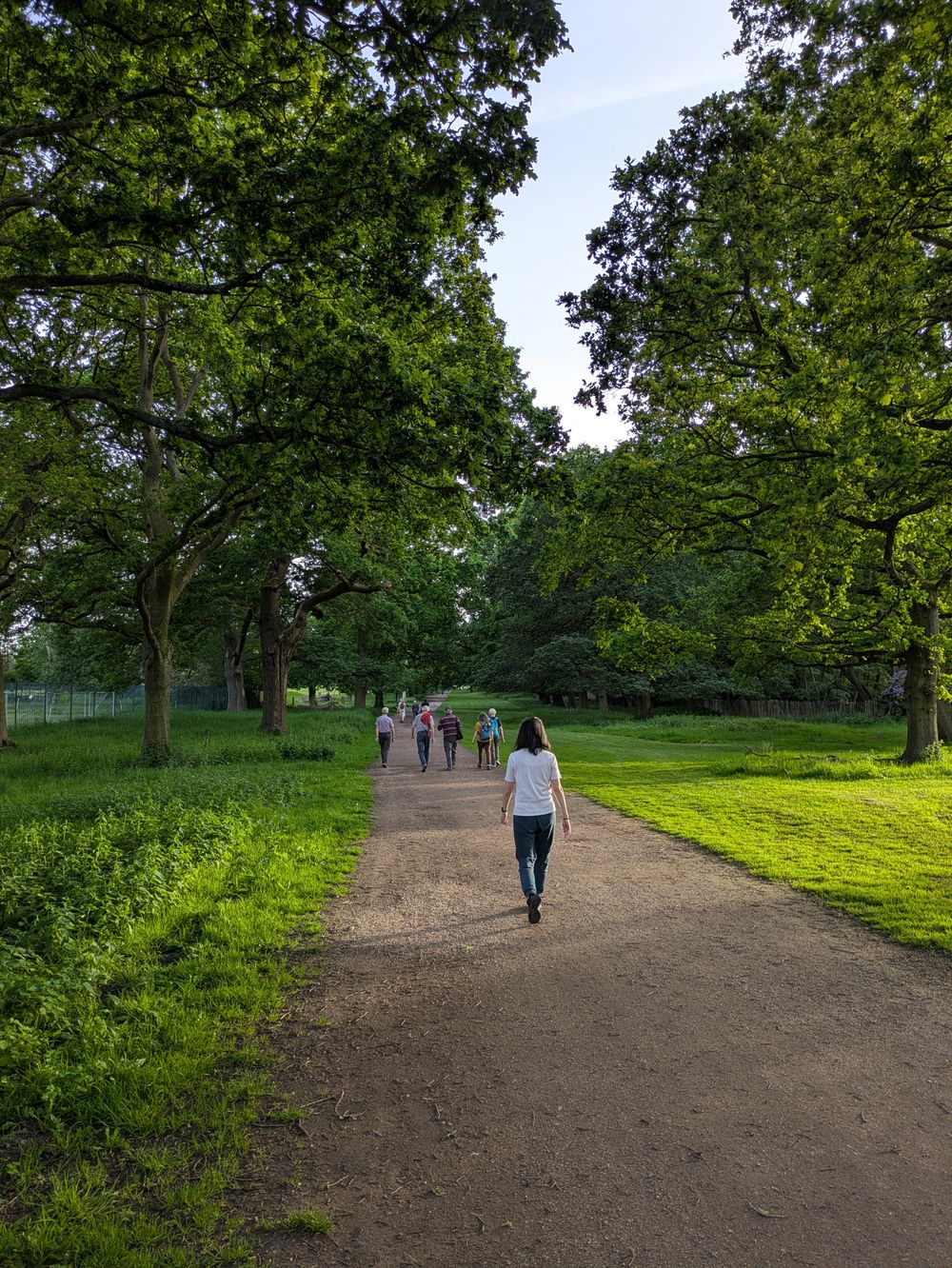 Leading a Walk Notts Walk
