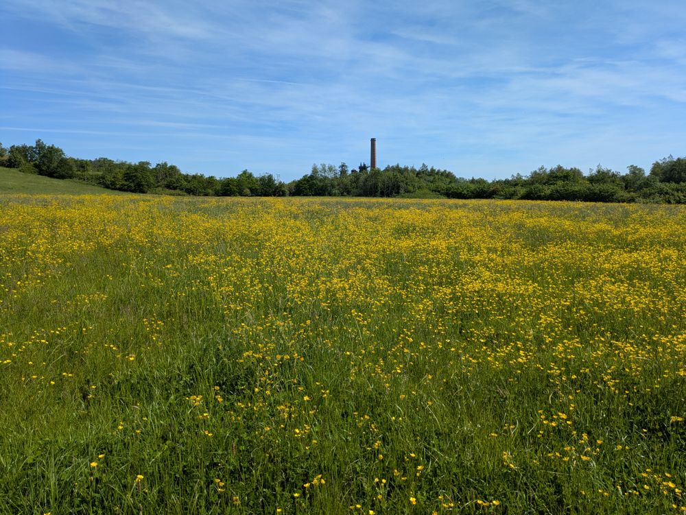 Pleasley Pit Country Park 