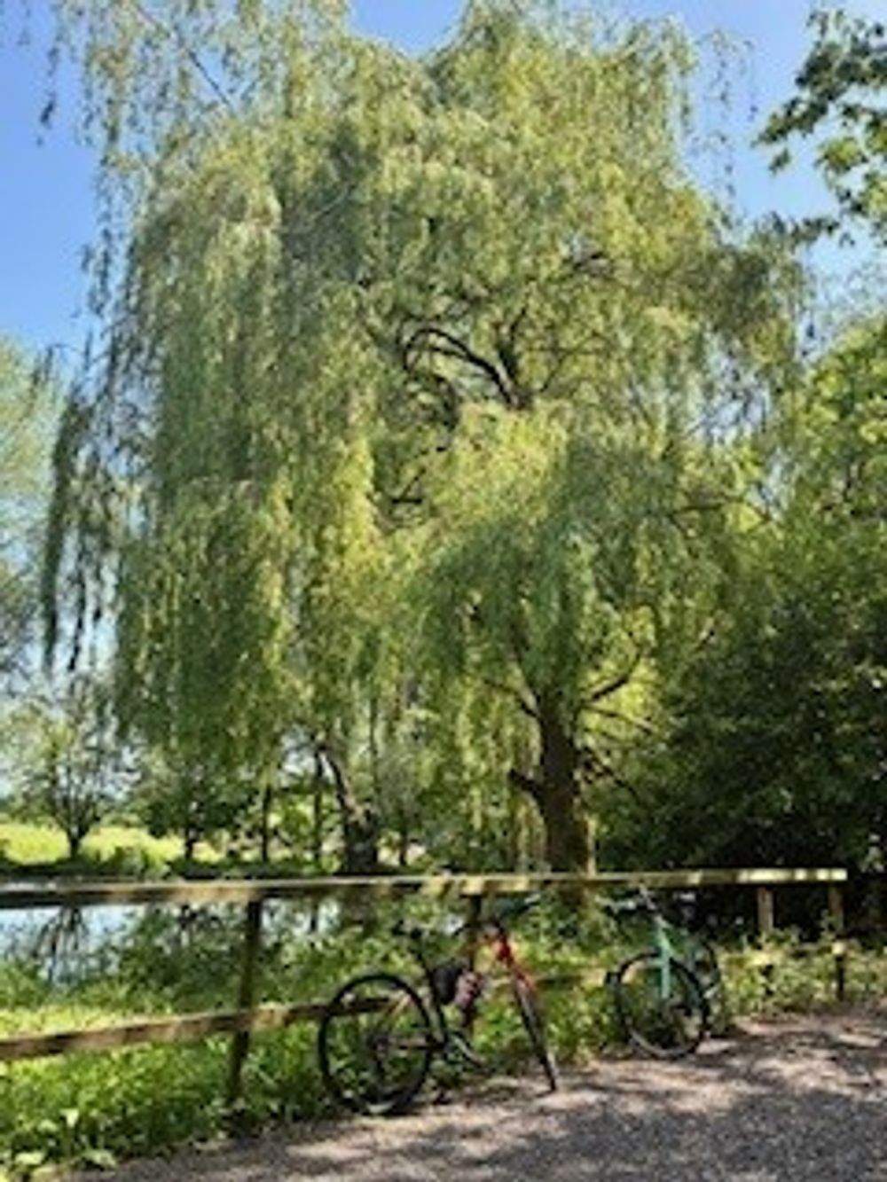 Keeping in the shade whilst still completing the challenge
