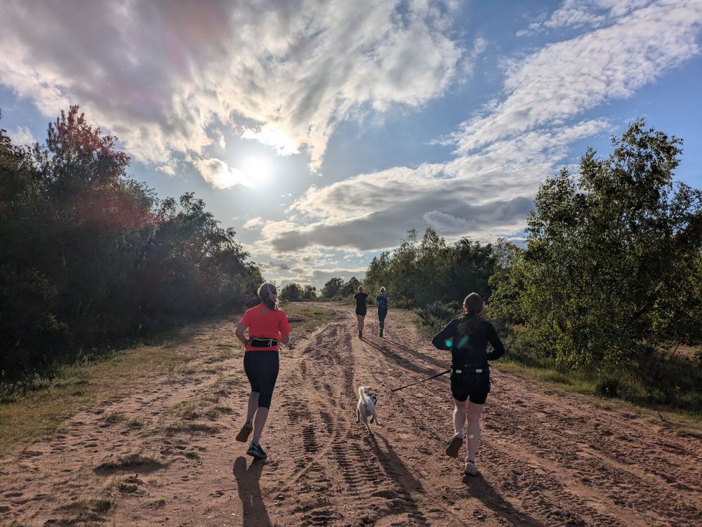 Rainworth desert expedition