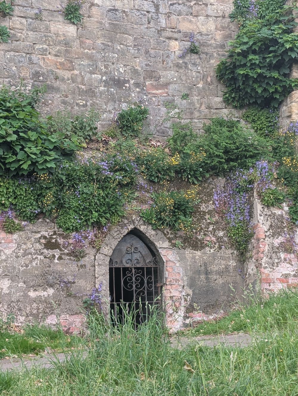 Exploring the castle area