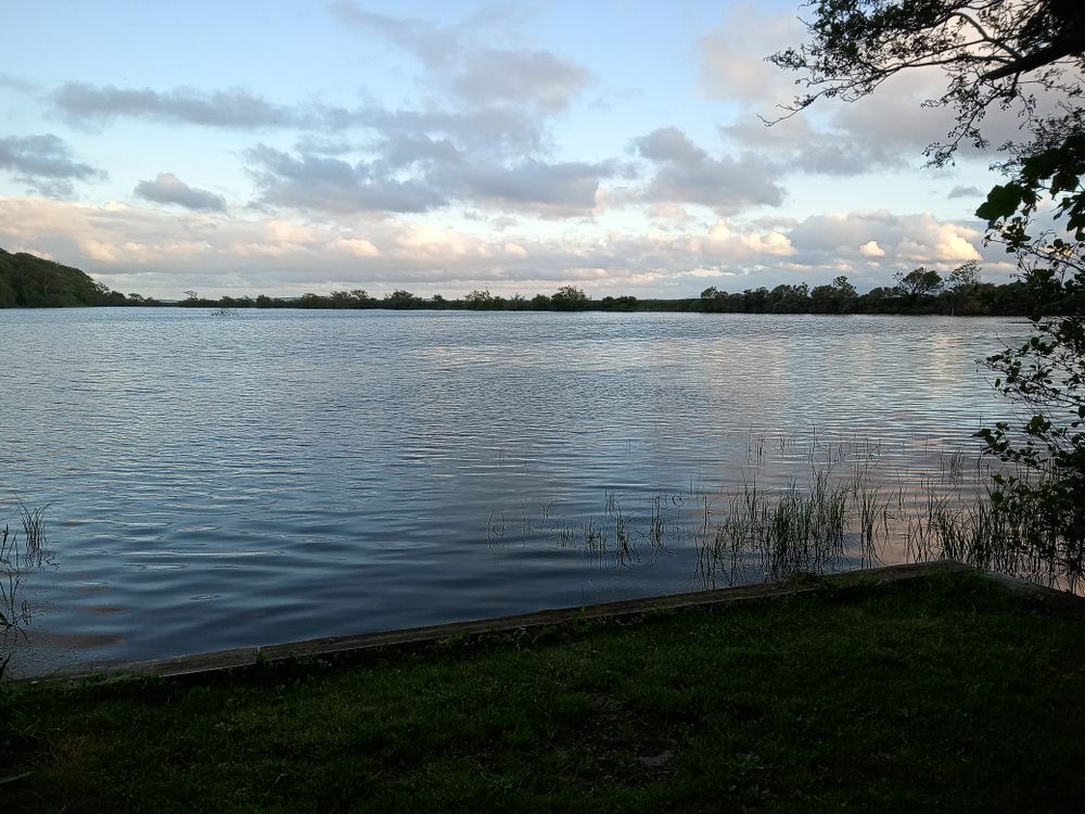 Greyabbey Estate lake.