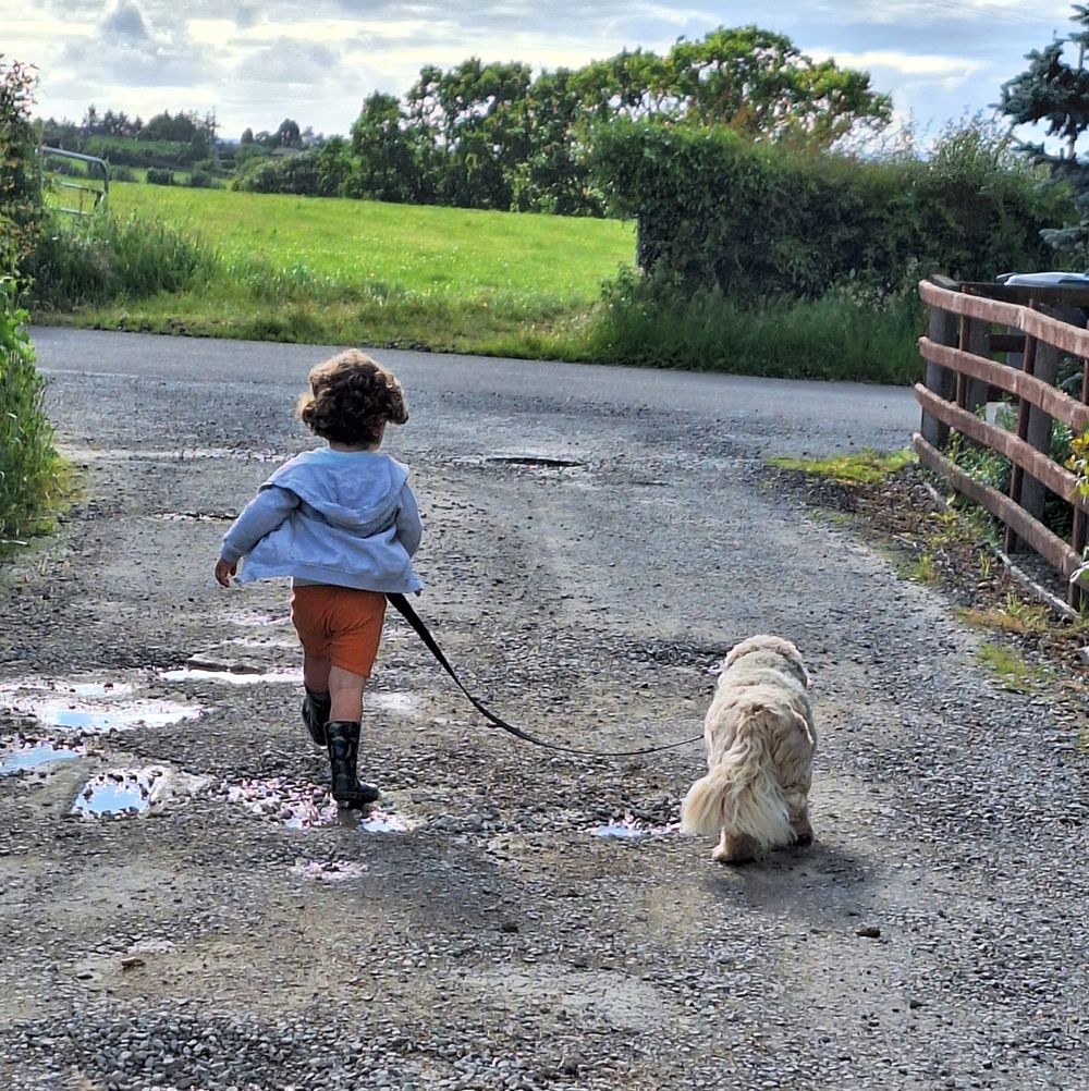 A Walk on the Wild Side