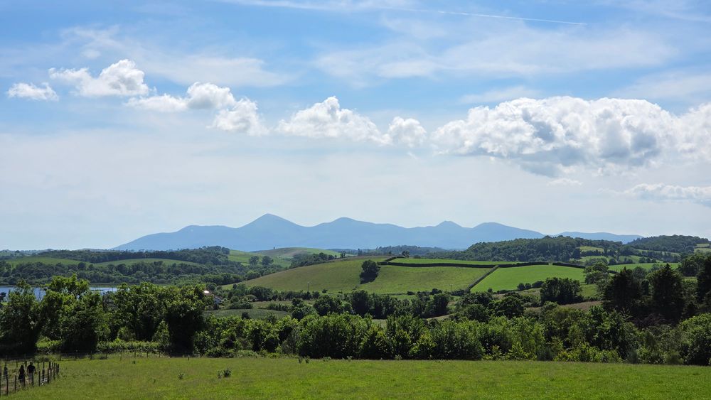 Delamont, Co. Down